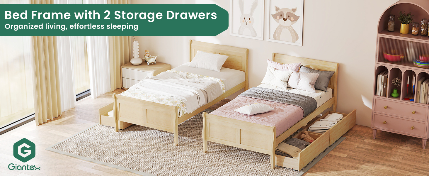 Giantex Queen Bed Frame with 2 Storage Drawers