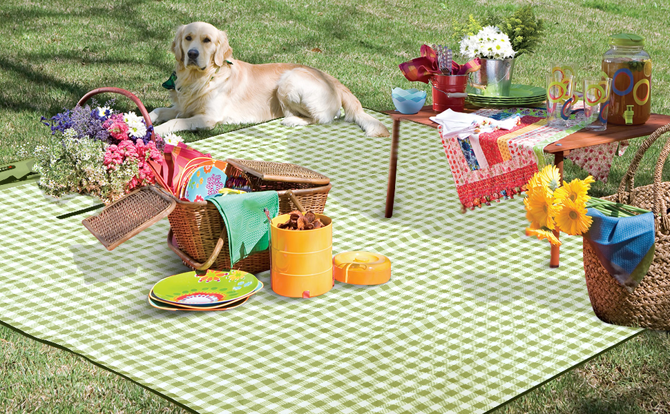 Extra Large Picnic Blanket