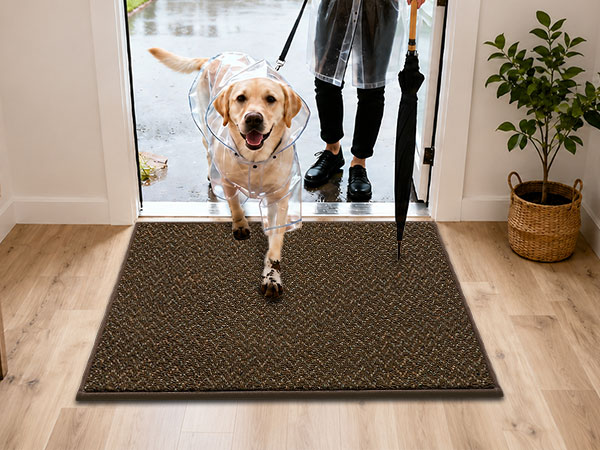 door mat indoor entrance