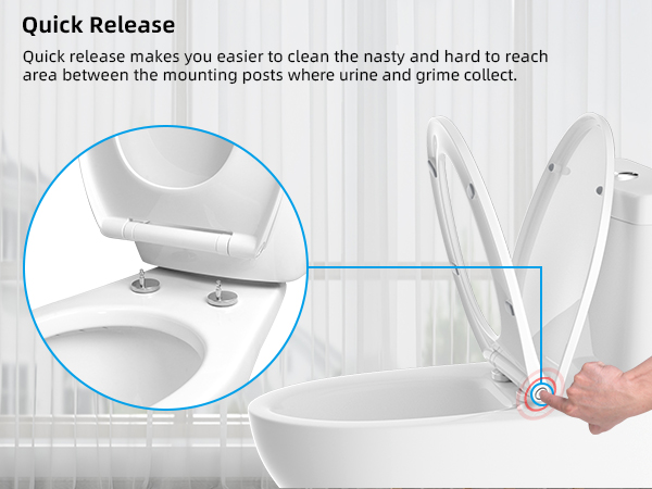 toilet seat