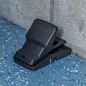 Tomcat Rat Snap Trap on Floor
