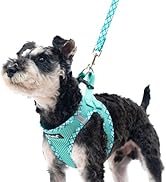 PUPTECK Dog Harness and Leash Set for Small Medium Dogs No Pull Step-in Soft Mesh Puppy Cat Vest ...