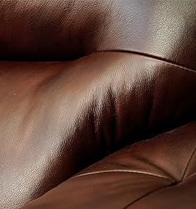 brown leather couch