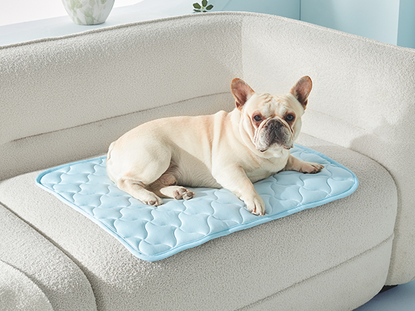 cooling pad for dogs