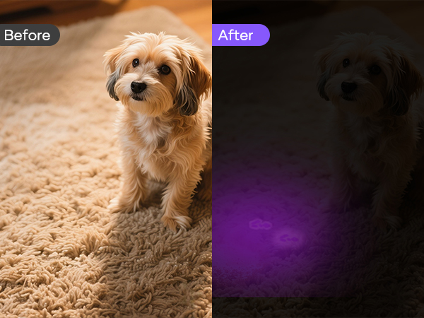 blacklight flashlights