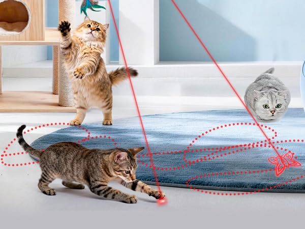 kitten toys