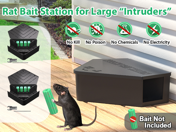Rat Station Box