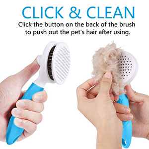 brush for dogs cats