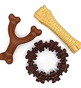 Chew Toys