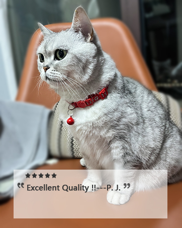 cat collar