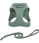 Voyager Step-in Pet Harness - All Weather Mesh, Adjustable Step in Harness for Cats and Dogs by B...