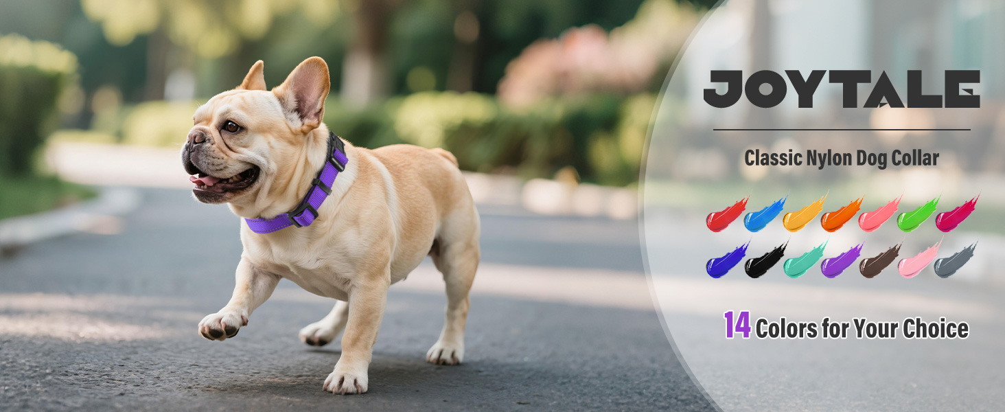 dog collar