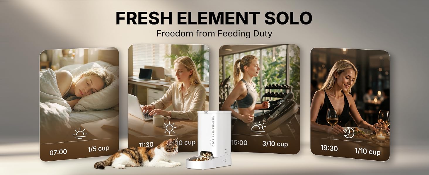 automatic pet feeder