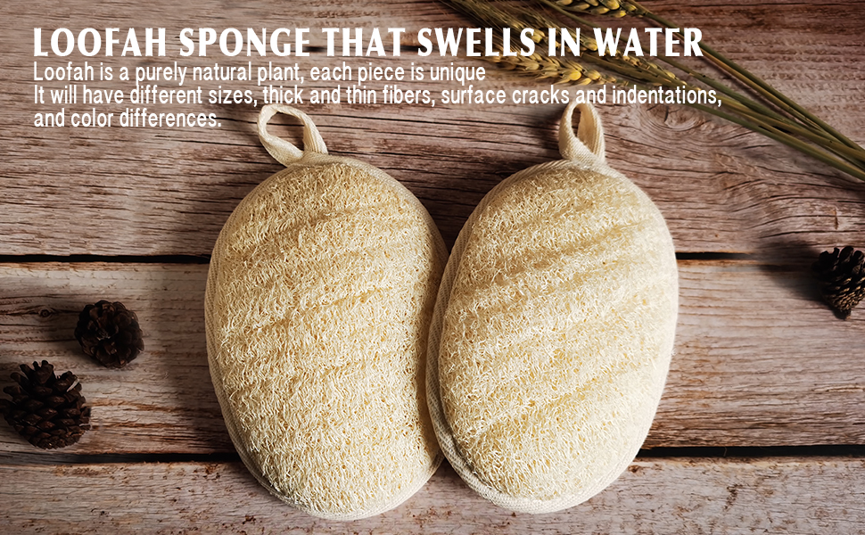 exfoliating body scrubber