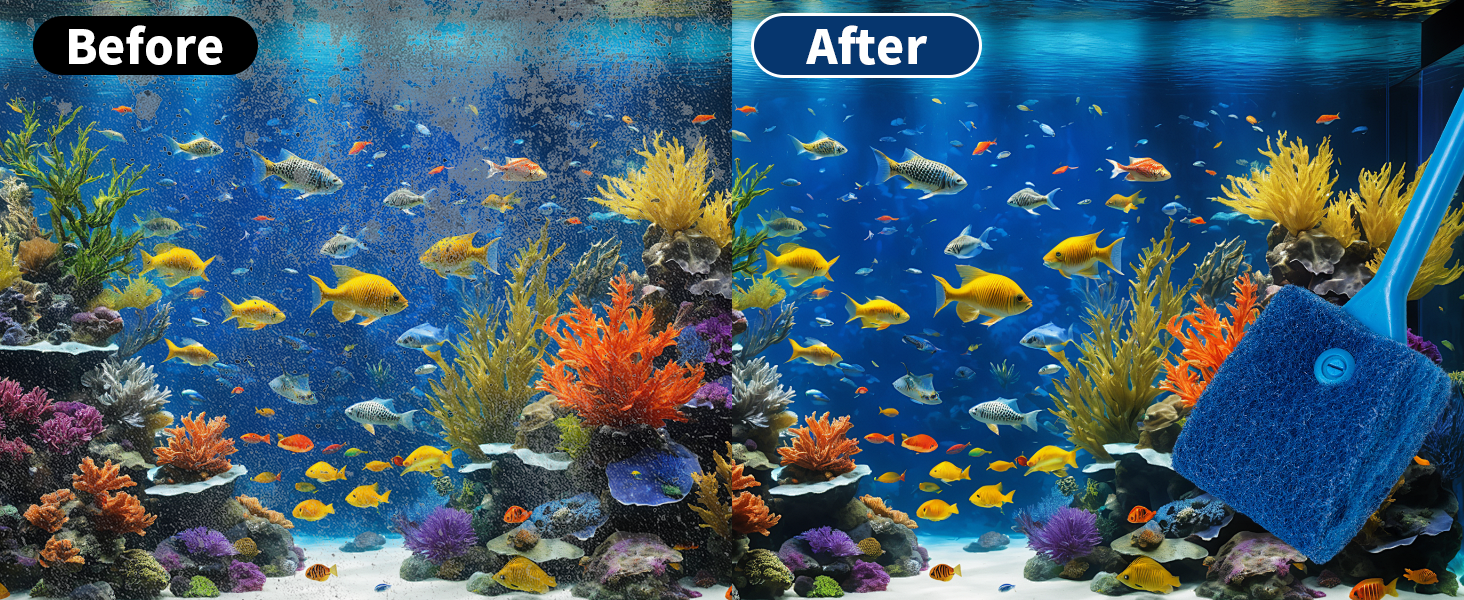 fish tank brush
