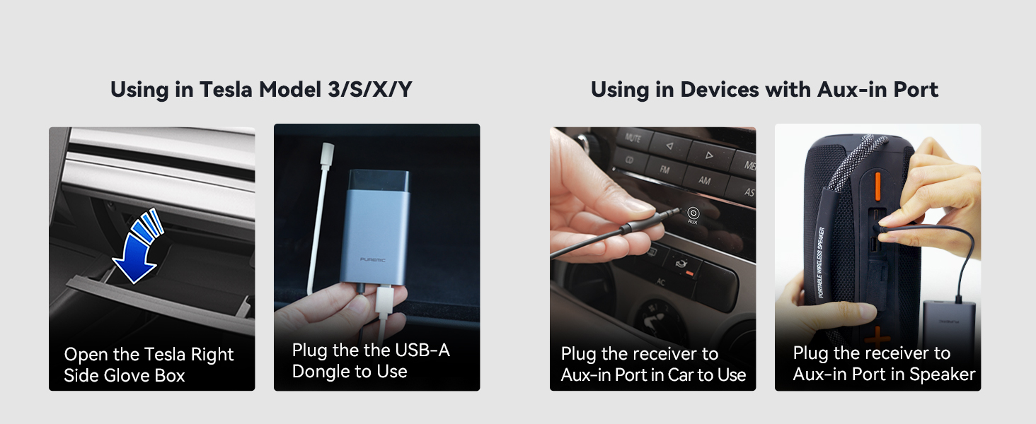 tesla car karaoke microphone for model y