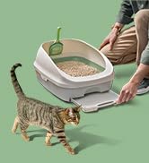 Purina Tidy Cats Non Clumping Litter System, Breeze XL All-in-One Odor Control & Easy Clean Multi...
