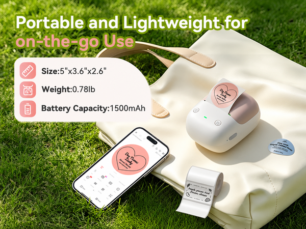 NIIMBOT B2 Portable Label Maker