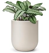 homenote Flower Pots 13 Inch,Large Plant Pots Indoor with Drainage,Plastic Pots for Plants,Garden...