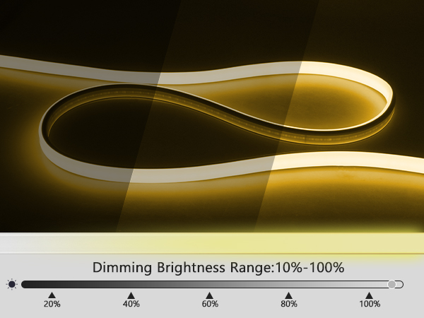 Dimmable LED Strip Light