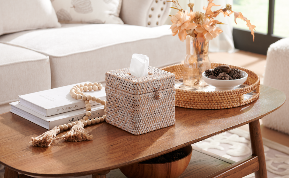 tissue box cover with lid