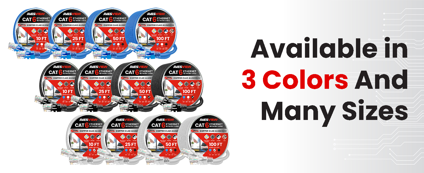 Ethernet Cable 100 ft