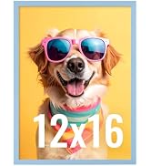 LaVie Home 12x16 Picture Frame for Wall Display, 12x16 Blue Picture Frame with HD Plexiglas, 12 x...