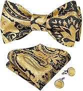 DiBanGu Men Bow Tie Paisley Striped Self-Bow Tie for Men and Silk Woven Bowtie Pocket Square Cuff...