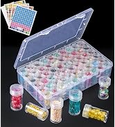LEIYULY Diamond Art Storage, Bead Organizer Box and Storage Plastic Case with Hinged Lid for Brac...