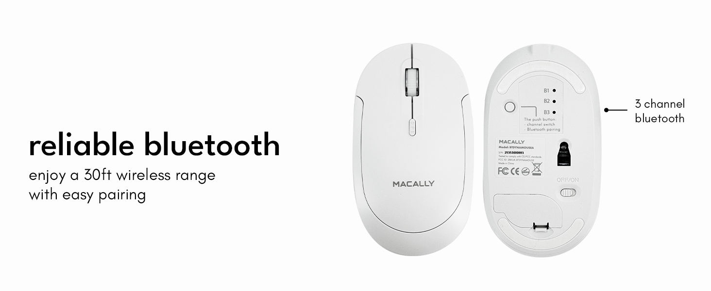 mouse