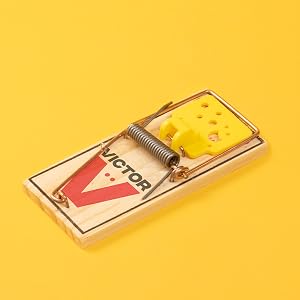 Victor Wide PEdal Mouse Trap
