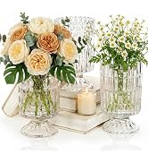 Goaste 3 Pack Embossed Big Base Vase, 7" Crystal Glass Vase, Hydroponic Green Plant Vases, Transp...