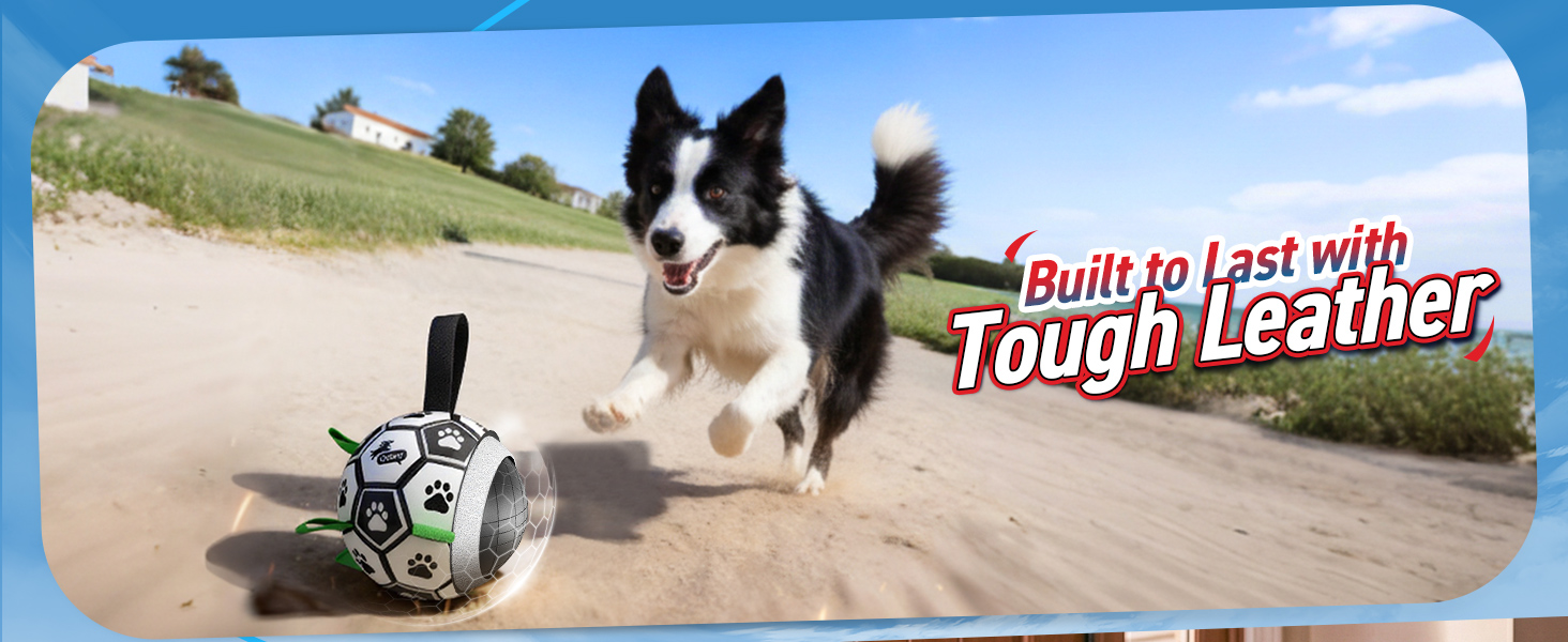 durable dog soccer toys