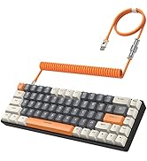 ZIYOU LANG RK-T8 Wired 65% Mechanical Gaming Keyboard with RGB LED Backlit Anti-ghosting TKL Mini...