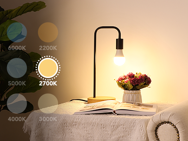 2700K A19 Light Bulbs