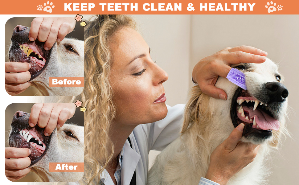 dog toothbrush finger dog finger toothbrush finger toothbrush toothbrush for dogs