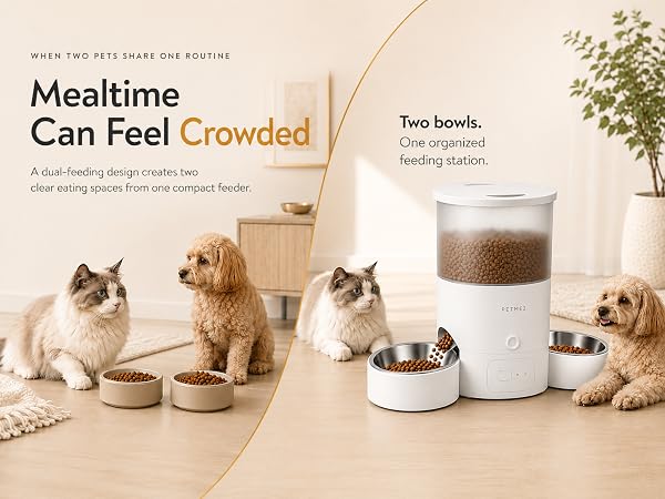 Automatic Cat Feeder