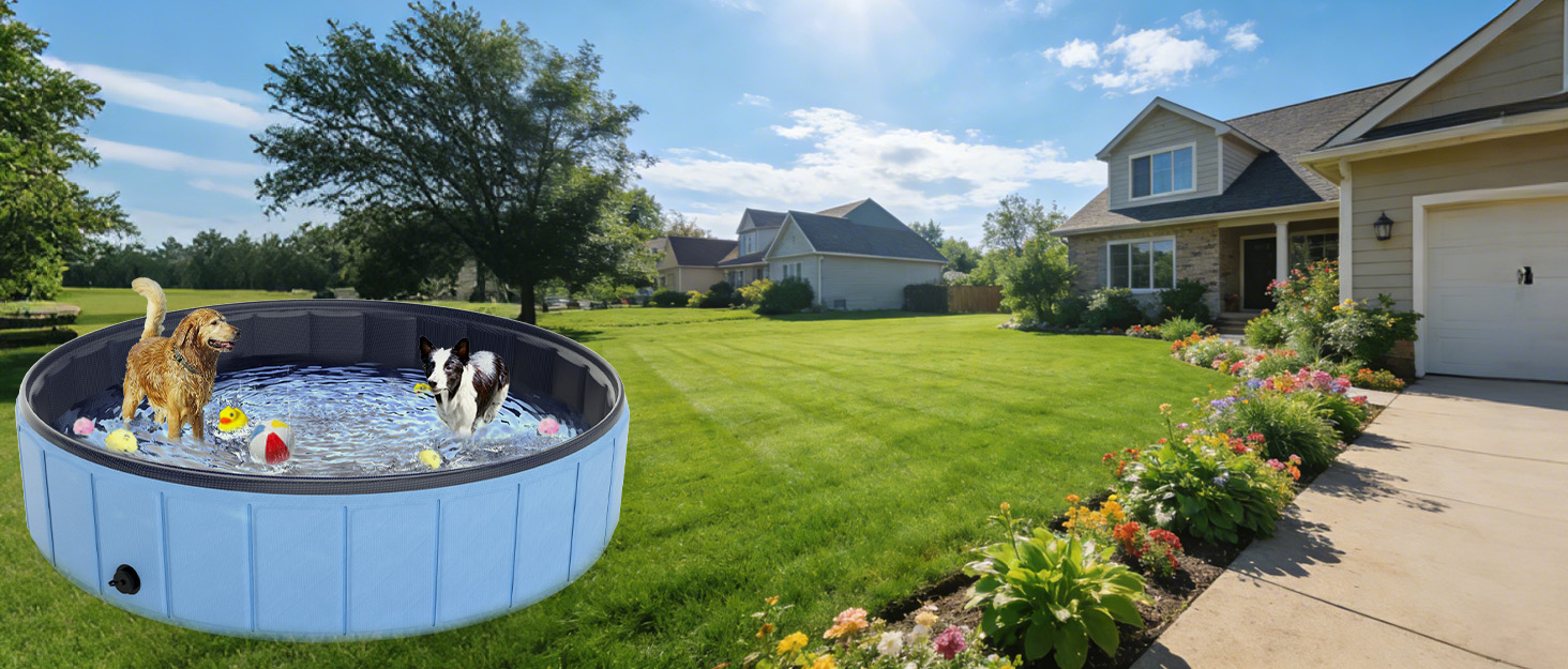 Dog Pool
