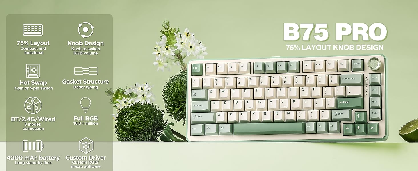 YUNZII b75 pro