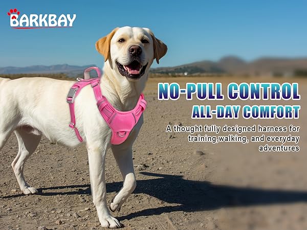Dog wearing a no pull dog harness dog harness medium sized dog pink dog harness for large dogs