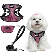 PUPTECK No Pull Dog Harness and Leash Set Reflective No Choke Step in Puppy Halter for XS Small a...