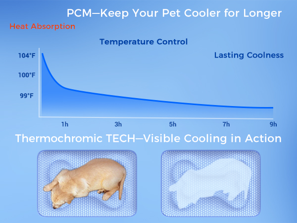 Endothermic Color Changing