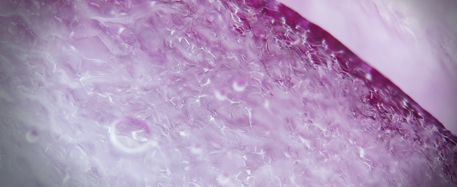 300X Phone Microscope Lens
