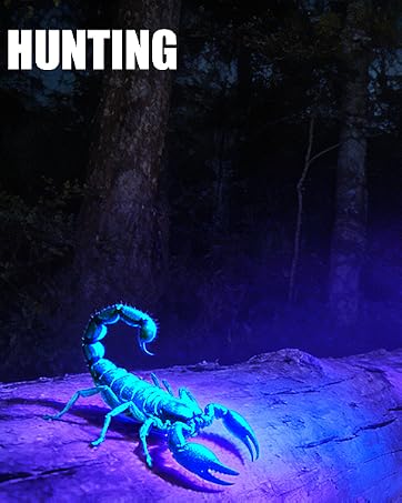 https://m.media-amazon.com/images/S/aplus-media-library-service-media/3f61d6d1-d711-4177-83ab-2d5d838d2e96.__CR278,0,479,600_PT0_SX362_V1___.jpg