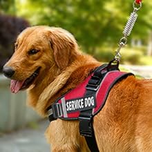 JSXD Dog Harness
