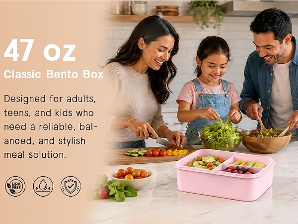 lunch containers for adults