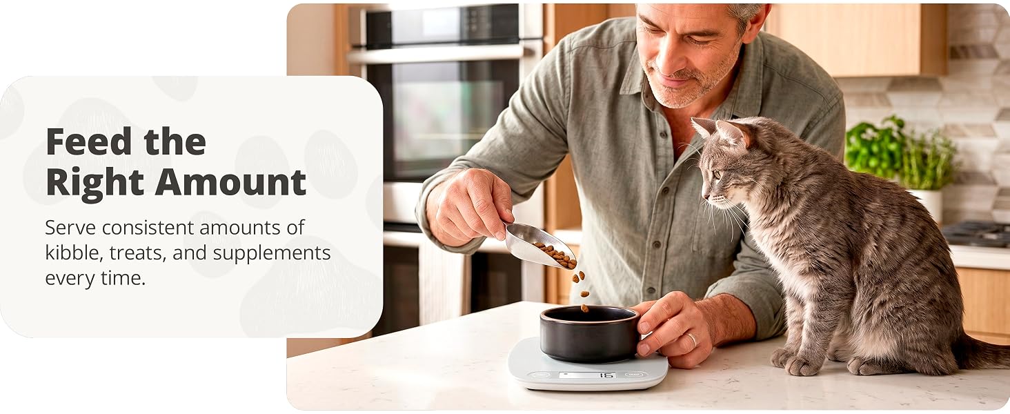greater goods ash gray kitchen scale man portioning cat food with cat watching