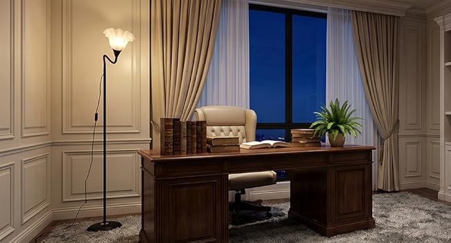 Floor Reading Lamps for living room with Adjustable Gooseneck Bendable