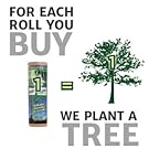 tree planting