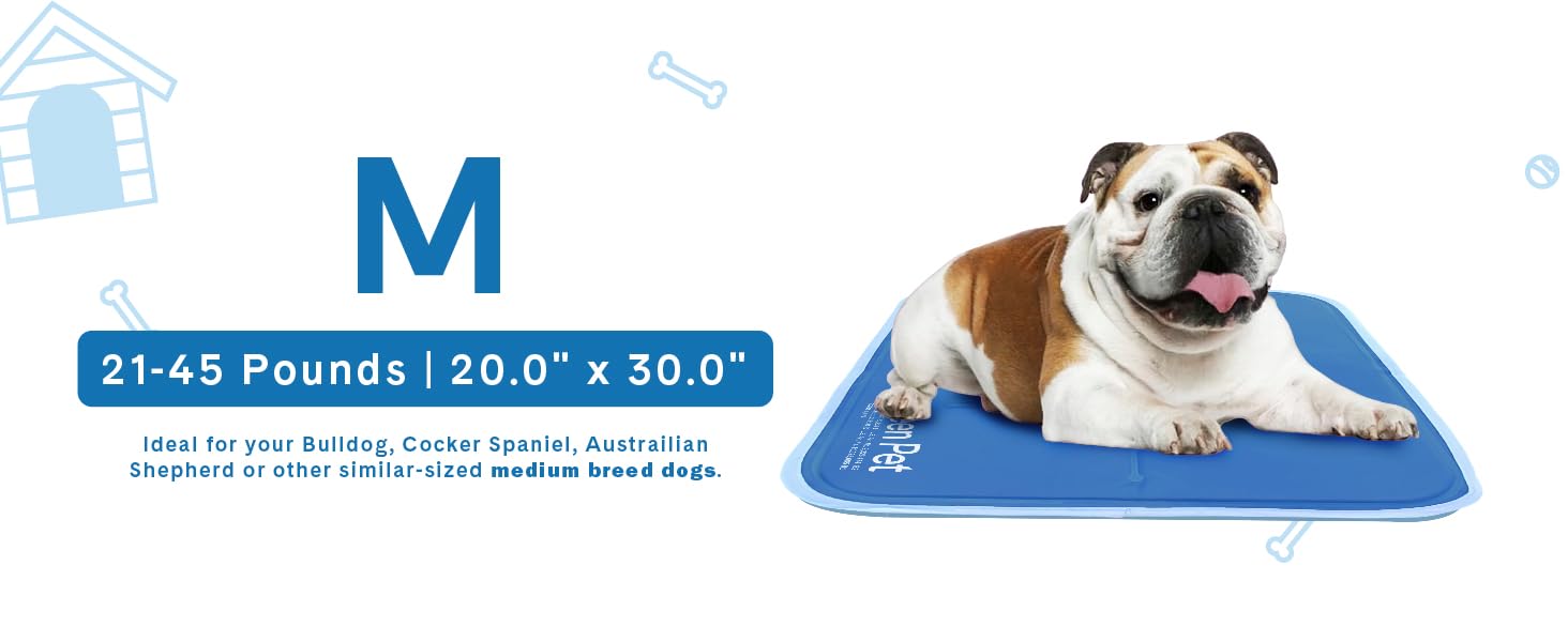 cool pet pad